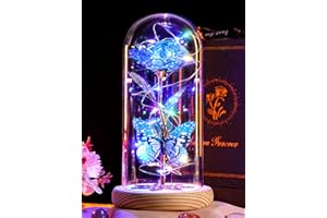 BEFERR Christmas Rose Flower Gifts for Women Birthday Gift for Women Galaxy Colorful Rose Crystal Flowers Gifts for Mum Her Christmas Valentines Anniversary Thanksgiving Mothers Day Rainbow Light Up Flower