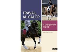 Travail au galop et changement de pied