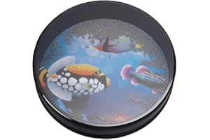 NAKUPENDA 25cm Ozeantrommel Ocean Drum Wellentrommel Percussion Drum Musikinstrument Percussion mit Stahlkugeln Gefüllt 5cm Dicke (Typ 2)