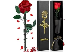 Vautvis Infinity Rose, wieczna róża, wieczny kwiat w pudełku prezentowym, wieczna róża, prezent walentynkowy dla niej, róża walentynkowa, prezent rocznicowy dla kobiety, mamy