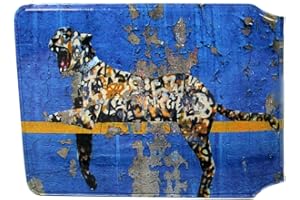 HONEEY (80+ Designs) Bus Pass Wallet Credit Travel Rail Ticket Card Holder for Oyster Business ID Card (Banksy Tiger)