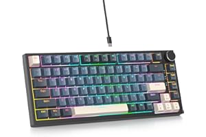 SbocKeeb Tastiera meccanica con guarnizione al 75%, tastiera RGB meccanica cablata personalizzata TKL al 75% sostituibile a caldo con cuscinetti fonoassorbenti, QWERTY americana programmabile