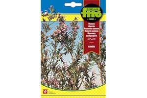 Semillas Fitó 2609 - Romero Común