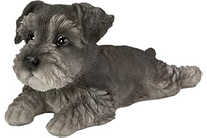 Vivid Arts Posa di cuccioli di animali domestici (Schnauzer)