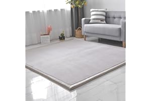 SETHEPACE Tapis Velours Corail Épais 3 cm pour Chambre de Bébé, Chambre d'enfant, Antidérapant Tapis d'eveil Bebe pour Les Chambre Garcon, Chambre Fille, Salon(Gris Argenté, 190 * 240)