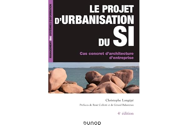 Le projet d'urbanisation du S.I. - 4e éd. - Cas concret d'architecture d'entreprise: Cas concret d'architecture d'entreprise