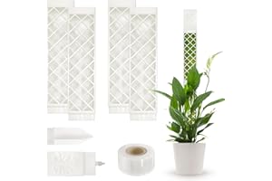 CAIXIANGYU 4 Pezzi Bastone Muschio Autoirrigante Palo di Sfagno per Piante Rampicanti, Tutore per Monstera, Pothos, Vite, Gelsomino Rampicante, Clemate (Bianco)