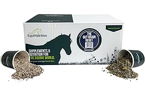 Equinutritive - The Gut Brain Reset - 100% Natural Gut Balancer & Calming Supplement for Horses & Ponies (3kg - Contains 1kg No More Nerves Horse Calmer, 2kg B-Complete Horse Digestive Supplement)
