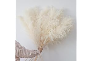 LARBER 120CM 12PZ Pampas Decorazioni Alte Fiori Secchi Decorativi Erba Della Pampas Secca Grande Pampas Erba Naturali Pampas Decorative XXL per Soggiorno Casa Pavimento Matrimonio Vaso Boemia Decorazione