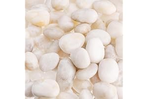 Dicunoy Weißer Dekosteine River Rocks, 2.7kg Natürliche Polierte Steine für Pflanzen,Glatte Felsen für die Landschaftsgestaltung, Vasenfüller, Aquarium, Landschaftsbau(Größe Ø 2-5 cm)