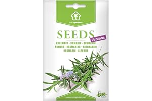 Romarin, Graines prêt à Pousser Minigarden, 100% Naturelles sans Propagateurs Chimiques ni Génie Génétique, inclut entre 100 et 160 graines