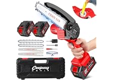 CEEPUY Mini Motosega a Batteria per Potatura con 8000mAh Batterie, 6 Pollici Sega a Batteria con Pompetta Olio, Motosega Elet