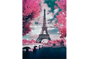 Wowdecor - Set fai da te per dipingere con i numeri, per adulti, bambini, ragazze, motivo torre Eiffel, fiori, 40 x 50 cm, prestampato, tela dipinta a olio, senza cornice