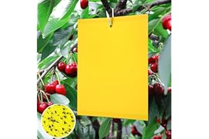 Y.A. LOTUS 20 Pièges Jaune Mouche piège Double Face, pour Insectes Volants - Serre et Dehors pour Jardin Plante Fleur Fruits, Pucerons, Moucherons fongiques, Mouches. avec Attaches de Câble(15x20cm)