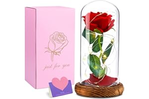 Cirulli Kit di Rose La Bella e la Bestia Rosa EternaRose The Beast Magic Rose Magic Gift con luci a LED San ​​Valentino Decorazione Festa della Mamma Anniversario di Matrimonio Festa Fiori conservati