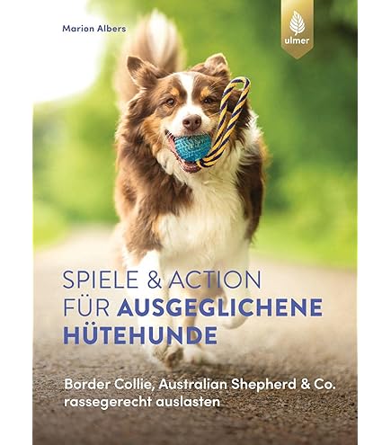 Interactief Hondenspeelgoed Voor Het Trainen En Verbeteren Van De Intelligentie Van Kleine Middelgrote En Grote Honden
