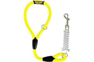 AVANZONA Correa para Perros, Amortiguador, Antitirones, para Perros medianos y Grandes, Fabricada en España. 60cm. Amarillo