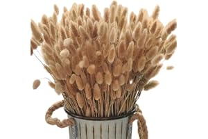 Dicunoy 200PCS Bunny Tails Dried Flowers, 13inch Natural Rabbit Tail Grass, Boho Lagurus Ovatus Eternal Florals for Wedding, Home Centerpieces Decoration, Flower Arrangements, Photo Props