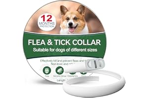 PAISTELY Collare Antiparassitario Per Cani, Antipulci Sicuro E Composto Da Oli Essenziali Naturali Al 100%, Efficacia 12 Mesi 65cm Antizecche Per Tutte Le Taglie (25.5 inch)