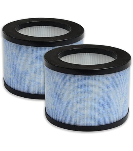 Honeywell Kit Filtri Purificatore Aria: 2 Filtri HEPA R E 4 Prefiltri A Carbone Per HPA200, HPA5200