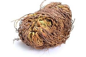 BRKENT Rosa Di Gerico Bulbi Ornamentali Di Hardy Perenni Tappezzanti Rosa Di Gerico Veri Bulbi Da Fiore Piante Resistenti Al Contenitore Pianta Da Balcone Piante Da Appartamento Vera Rosa Di Gerico 3 Tuberi