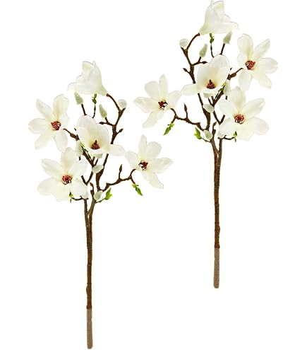 Künstliche Magnolie Kostas – Creme-rosa, Ca. 55 Cm – Seidenblume Auf Stiel, Für Deko Ohne Pflege