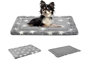 EMPSIGN Panier Chien Réversible (Frais et Chaud), Coussin Chien Petit Taille (61x46x2,8cm), Tapis Chien Lavable, Matelas Lit Chien Mousse Haute Densité