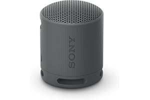 Sony SRS-XB100 - Enceinte sans Fil Bluetooth, Portable, légère, compacte, Durable, IP67, étanche à l'eau et à la poussière, Batterie 16H, dragonne Polyvalente, appels Mains Libres, Noir