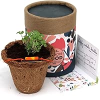 bioQ Plantable Eco Friendly Rakhi Combo Set for Brother | Planting Kit : Coco Pot + Peat | Roli & Chawal Pack | Letter…
