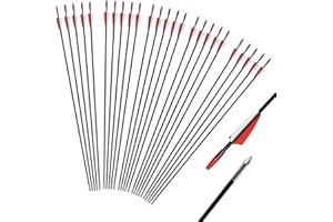 iMeshbean Fibreglass Arrows for Archery, Pack of 25 Bow Arrows Adult 31 Inch Fibreglass Arrow Hunting Arrows for Bow, Recurve Bow, Sports Bow