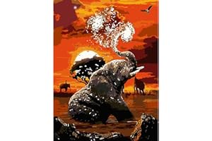AIRDEA éLéPhant Au Coucher Du Soleil Peinture par Numéros Adultes débutants, Acrylique Peinture Numero Adulte sur Toile, Kit de Peinture à l'huile sur Toile Bricolage avec pinceaux 30X40CM