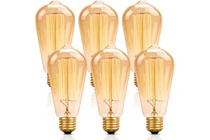 Ledivion Vintage Edison Light Bulb, E27 Screw Bulb Dimmable, 60W Squirrel Cage Filament Bulb, Warm Whtie 2700K, 6 Packs