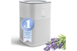 LEVOIT Air Purifier for Bedroom Home, Dual HEPA Filters with Aromatherapy Diffuser, Quiet Sleep Mode, Air Cleaner for Smoke, Allergies, Pet Dander, 100% Ozone Free, LV-H128, Gray
