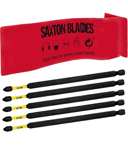 10 Punte Per Avvitatore Magnetiche Lytool - 110 Mm E 65 Mm, PH/PZ/SL, Per Dewalt/Makita - Foto 8