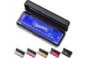 SUNBILIEN 10 hole harmonica, silver full scale metal mini C-key harmonica, suitable for adults, Thanksgiving and Christmas back to school gifts (Blue)