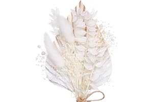 The Baked Studio - Dried Flowers For Cakes Decoration And Crafts With A Gold & White Ombre Palm Spear (Gold & White)