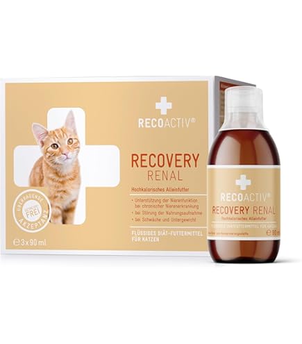 Royal Canin Veterinary Recovery Liquid | Double Pack | 2 x 3 x 200