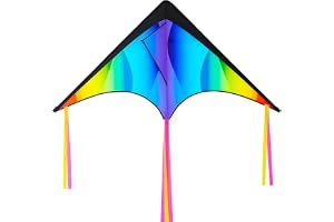JOYIN Gradient regnbåge Big Delta Kite