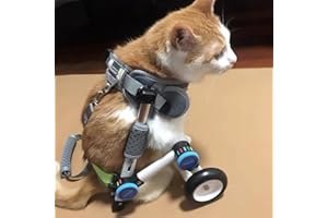 ENHEN Chariot Chien Handicapé Fauteuil Roulant de Chien Léger Réglable, Chariot pour Animaux de Compagnie de Petit Chat avec Un Harnais Doux, Aider Handicap Animal Faible Ligne de Réadaptation Des Pattes Ar