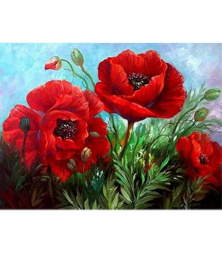 Goofong Diamond Painting Kit 5D - Vaso Di Papaveri, 30x40 Cm - Completo Di Tela, Diamanti E Strumenti