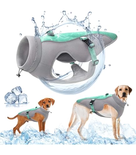 Gilet Refrigerante Vivi Bear Per Cani - Pettorina Rinfrescante Per Estate E Attività Esterna - Foto 2