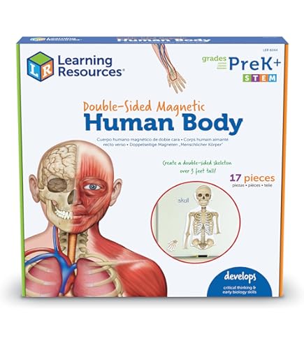 LEARNING RESOURCES MAGNETIC PLANT CELLS LER6038