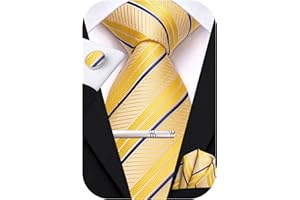 Hi-Tie Silk Ties for Men Pink Blue Black Mens Ties Set 4 PCS Necktie Pocket Square Cufflinks Clip Pin for Wedding