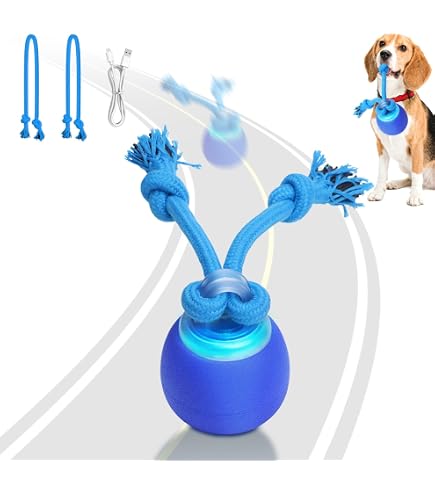 ZWMBYN Interactive Dog Toy Ball With LED Lights & Remote Control - Bouncing, Rolling Ball For Dogs