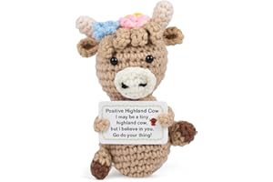 DMOPRDNB Handmade Cute Knitted Doll, Mini Emotional Support Cheer Up Keepsake Gift with Positive Card for Friends, Classmates