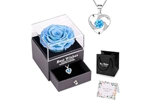NEWUPZSI Vera Rosa eterna con collana e orecchini in una scatola regalo, regali romantici di rosa per lei nel giorno di San Valentino Anniversario Regali per la festa della mamma per le donne
