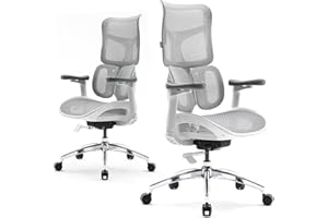 SIHOO Doro S100 Sedia da ufficio ergonomica - con supporto lombare dinamico doppio, schienale regolabile su 5 livelli, braccioli coordinati su 4D, angolo massimo di reclinazione di 135 gradi, bianca