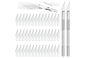 GOLDGE Cutter di Precisione, Coltello da Intaglio Artistici, 2 Manici e 42 Lame di Ricambio con Custodia, Coltello da Penna in Metallo Solido, per Hobbistica Taglio Opere Stencil, DIY