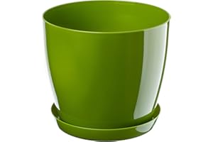 KADAX Maceta con plato, maceta redonda para interiores, elegante maceta de plástico, maceta ligera para flores y plantas para el hogar (18 cm de diámetro, color verde)