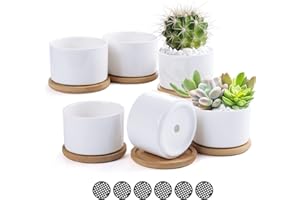 TsunNee Ceramiczne doniczki na kwiaty, klasyczne, okrągłe, na sukulenty, białe, mini, dekoracyjne, do bonsai, do domu, ogrodu, biura, dekoracja, na biurko, parapet, prezent, 7,6 cm, 6 szt.
